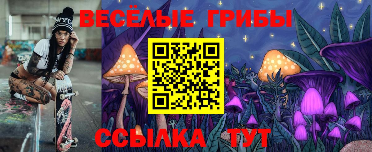 Дербент  Галлюциногенные грибы прущие грибы  Вход с VPN  Галлюциногенные грибы мухоморы 