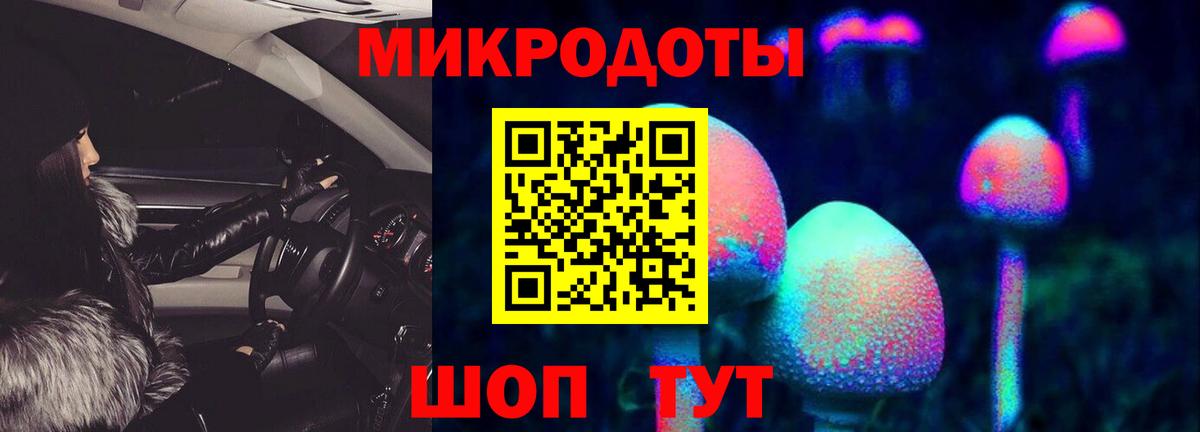 Галлюциногенные грибы Magic Shrooms Дербент